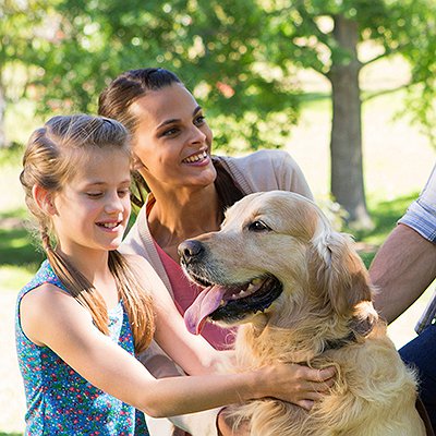 Zoonoses: você sabe o que é e como proteger seu cão e sua família?