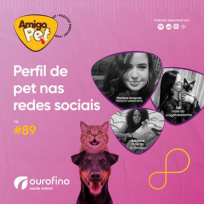 Podcast Amigo Pet - Episódio 89 - Perfil de pet nas redes sociais
