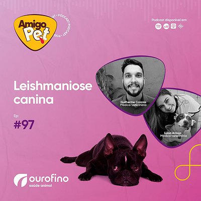 Amigo Pet - Episódio 97 - Leishmaniose canina