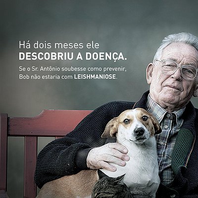 Ourofino lança campanha para combater leishmaniose canina