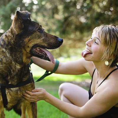 Comportamento dos cães é mais influenciado pelos donos do que pela genética, afirma especialista