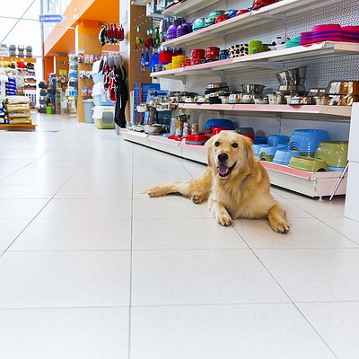 Pet Shop: custo x benefício