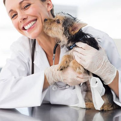 Vantagens de um sistema para clínica veterinária