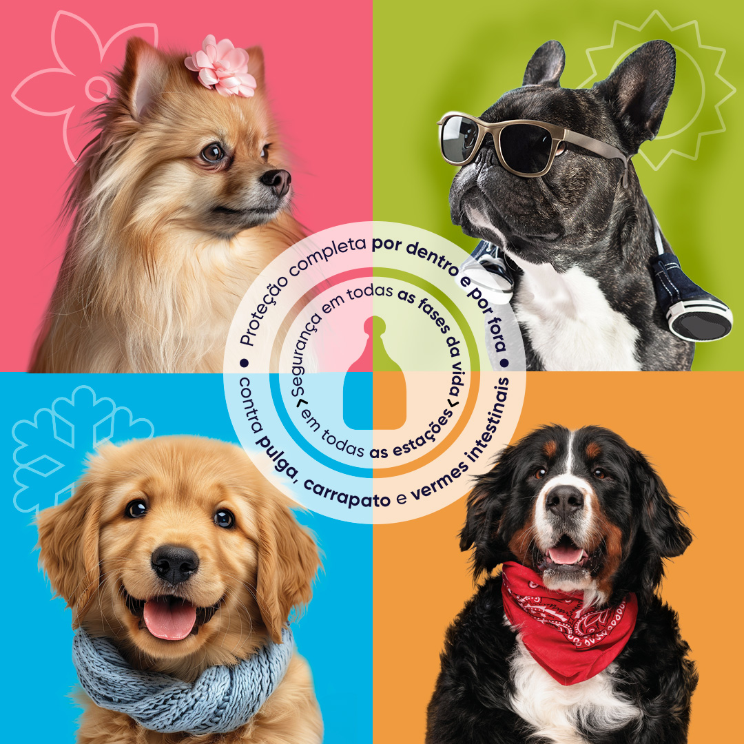 Ourofino amplia portfólio para controle de parasitas em cães