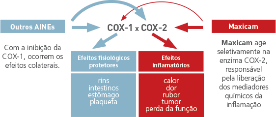 Apresenta atividade inibidora seletiva da cicloxigenase-2 (COX-2), indicado para processos inflamatórios de cães e gatos.